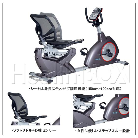 エアロバイク【送料無料/代引不可】ダイコウ リカンベントバイク